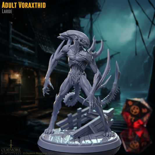 Adult Voraxthid
