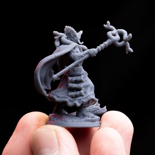 Halfblood Sorcerer
