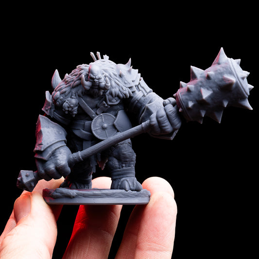 Armored Mountain Troll