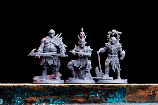 Orc Ravager Group