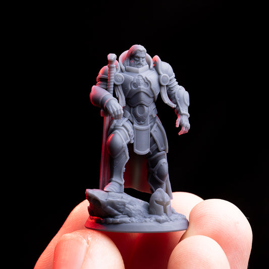 Sir Rowan Sigil, Scarred Knight