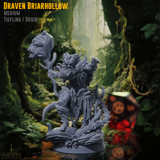 Draven Briarhollow