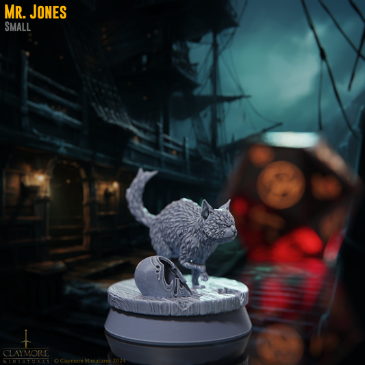 Mr. Jones