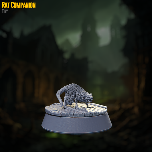 Rat Companion