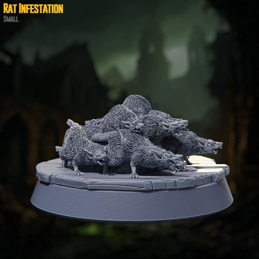 Rat Infestation