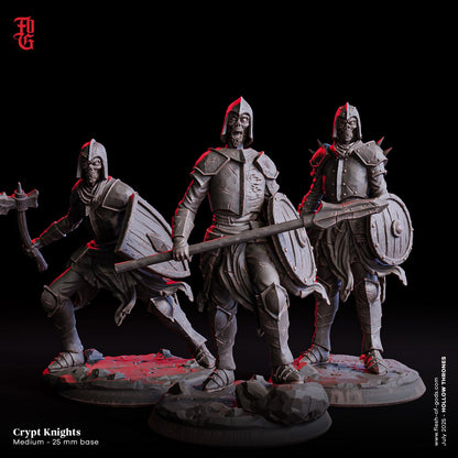 Crypt Knights Group